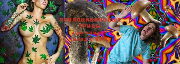 мяу мяу мука Осинники