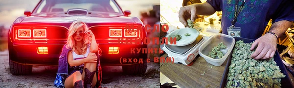 мяу мяу мука Осинники